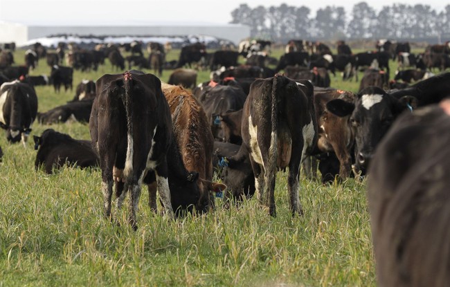 Trump Just Dropped Huge News for Ranchers and Farmers